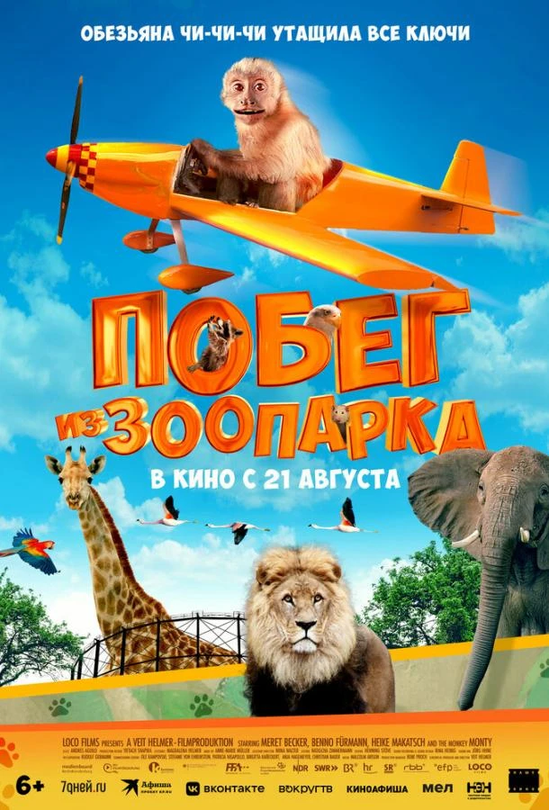 Побег из зоопарка 